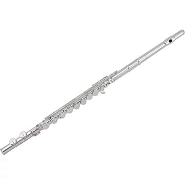 Wm. S. Haynes Co. Amadeus AF780SE Fuvola - Ezüst fej és test, nyitott, C-láb