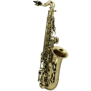 Roy Benson AS201 Gyerek szaxofon Roy Benson AS201 Gyerek szaxofon