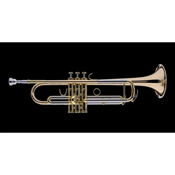 Schagerl Academica Modell 620L