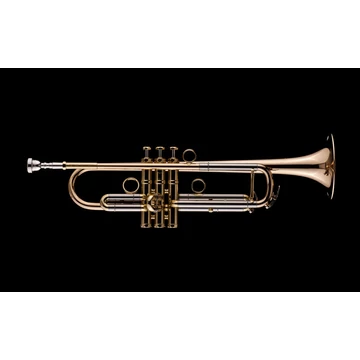 Schagerl "James Morrison" JM2-S B-trombita