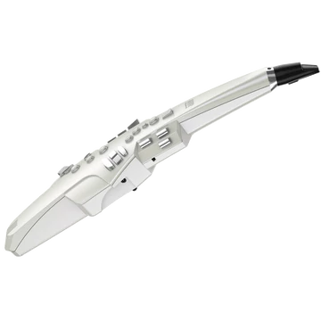 Roland Aerophone  AE-10