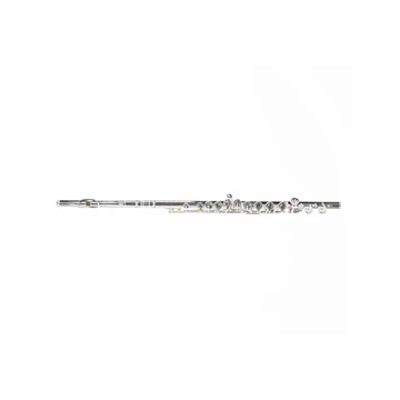 Wm. S. Haynes Co. Amadeus AF485SE Fuvola - Ezüst szájrészes, zárt