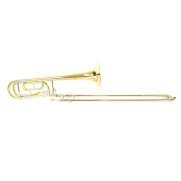 Fontaine FNSL-810L B/F-harsona - Lakkozott