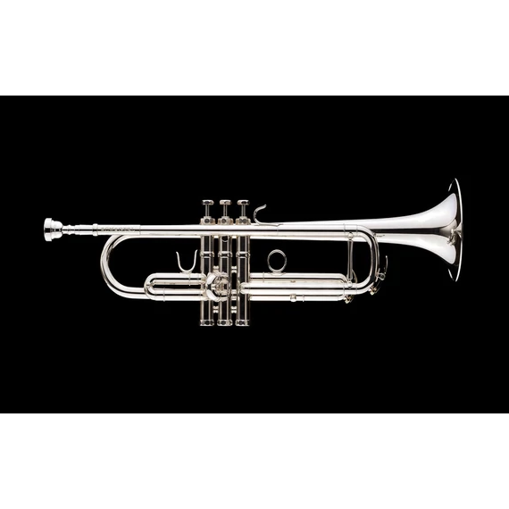 Schagerl Academica TR-620S - Ezüstözött