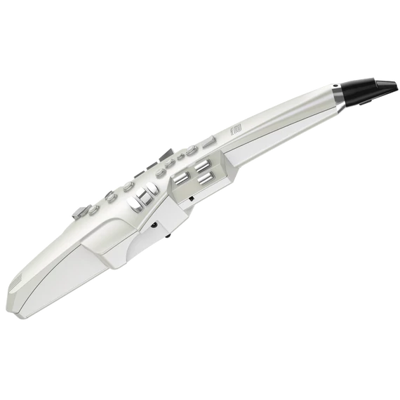 Roland Aerophone  AE-10