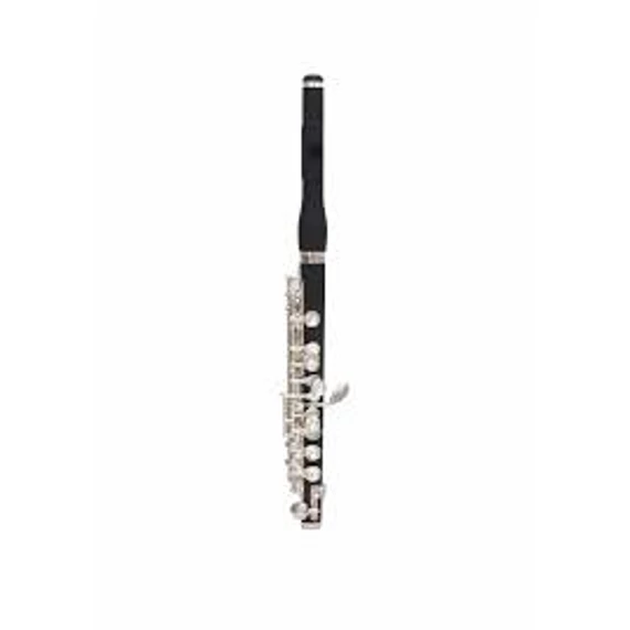 Trevor James 5x Piccolo
