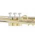 Kép 4/4 - pTrumpet Hytech B-trombita - Arany színű