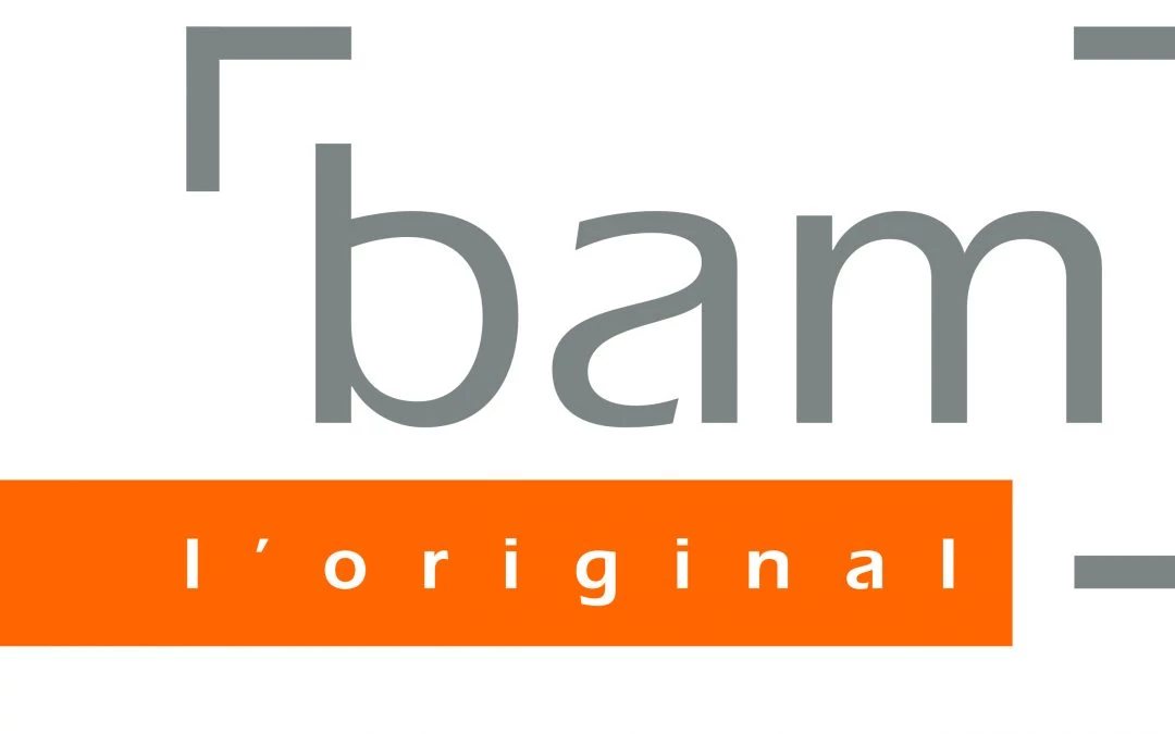 BAM Cases